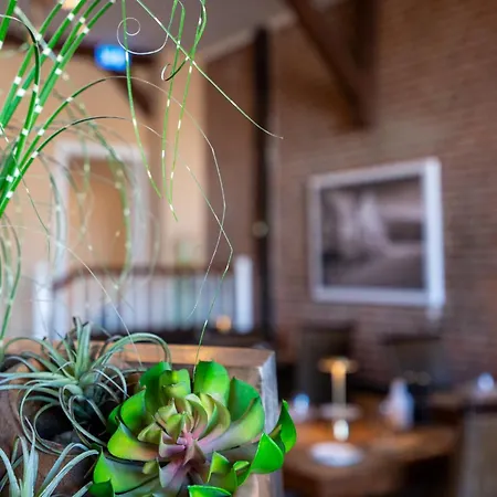 Hotel Villa Tripaldi Отель